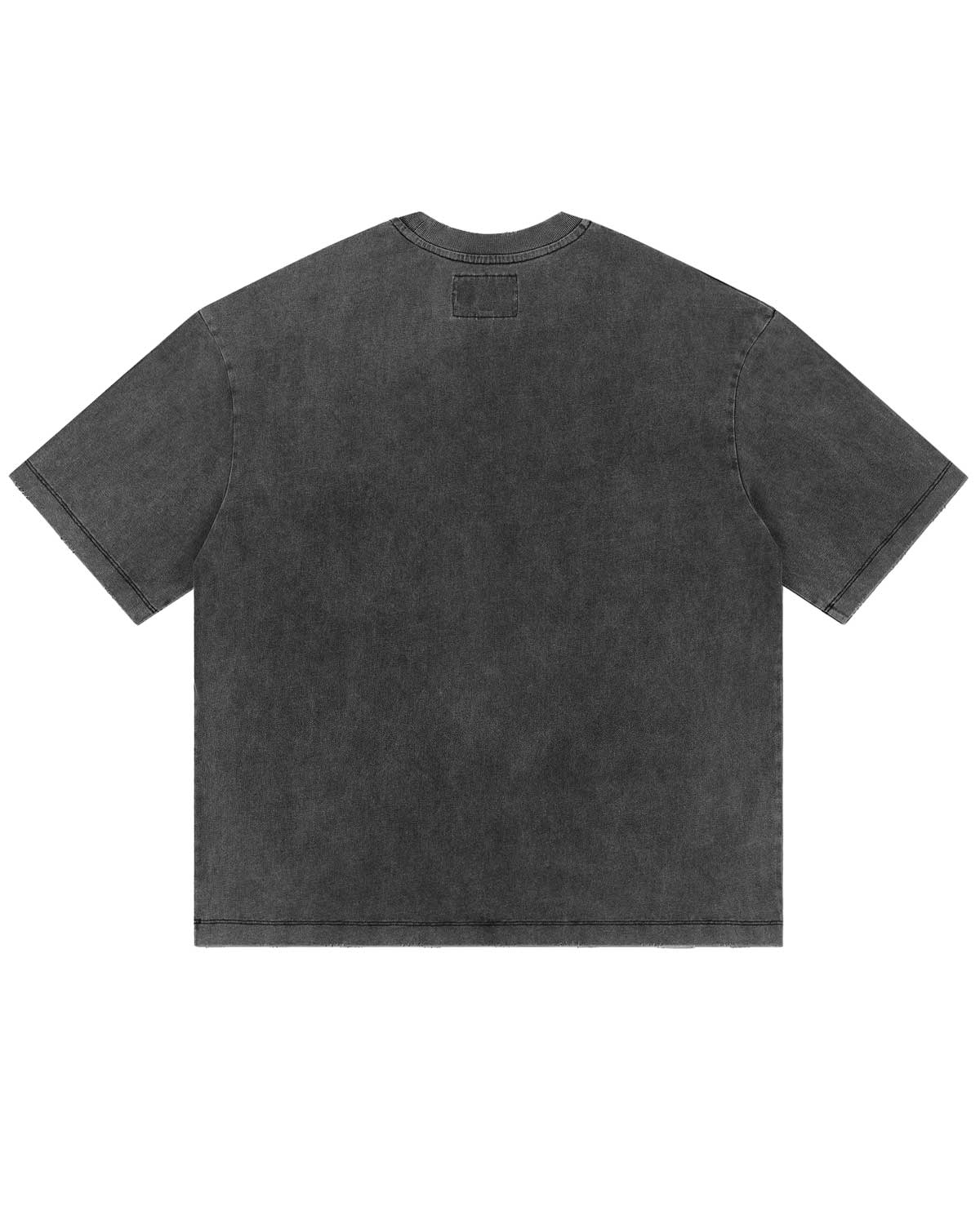 Godspeed Skull Island II Tee Grey Wash - Image 2